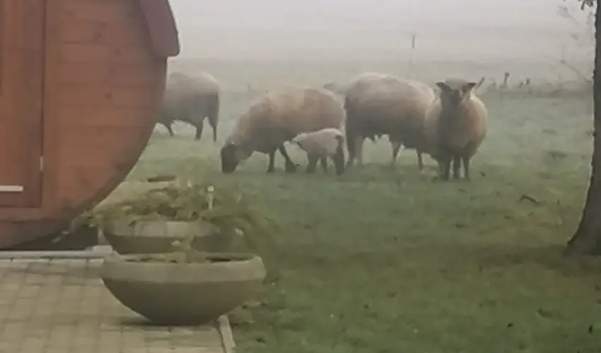 Kerka Vendghz Csesztreg - Oktber 23. (min. 2 j)