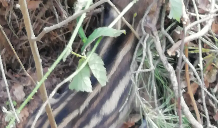 Kerka Vendghz Csesztreg - Oktber 23. (min. 2 j)