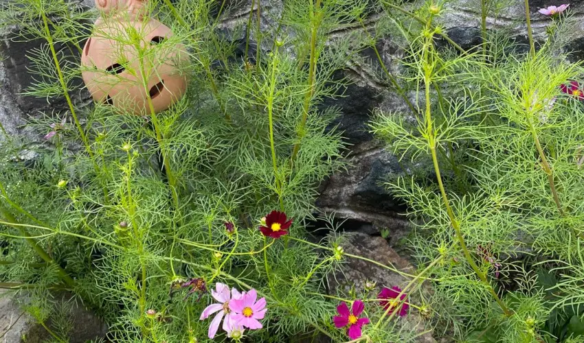 Kiskilenc Vendghz Szarvask - Oktber 23. (min. 2 j)