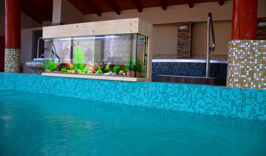 Kkapu Vadszkastly s Hotel & Apartments Nagyhuta - Oktber 23. (min. 2 j)