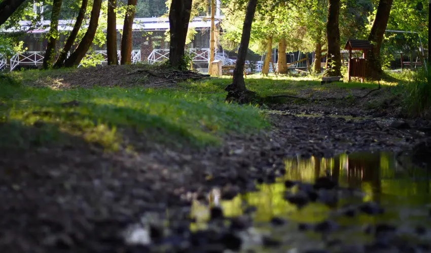 Kkapu Vadszkastly s Hotel & Apartments Nagyhuta - Oktber 23. (min. 2 j)