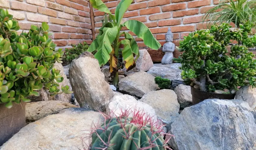 K�kert Pihen�h�z K�szeg - Okt�ber 23. (min. 2 �j)