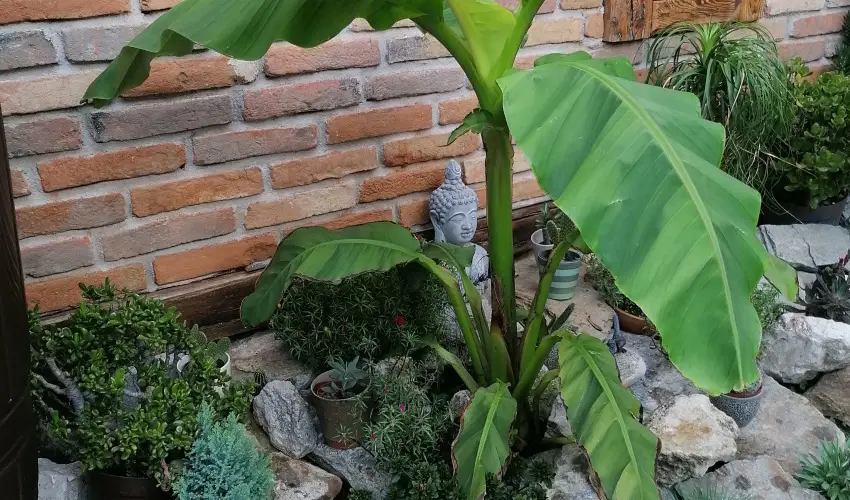 K�kert Pihen�h�z K�szeg - Okt�ber 23. (min. 2 �j)