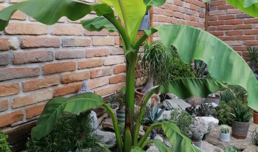 K�kert Pihen�h�z K�szeg - Okt�ber 23. (min. 2 �j)