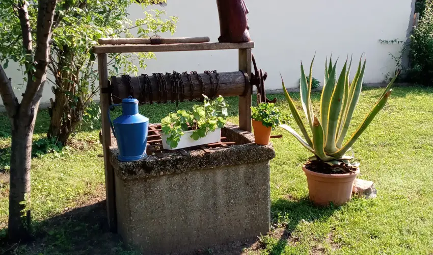 Krs Vendghz Szarvas - Oktber 23. (min. 2 j)