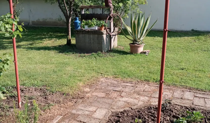 Krs Vendghz Szarvas - Oktber 23. (min. 2 j)