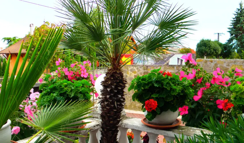 Kristly Apartman Hvz - Oktber 23. (min. 2 j)