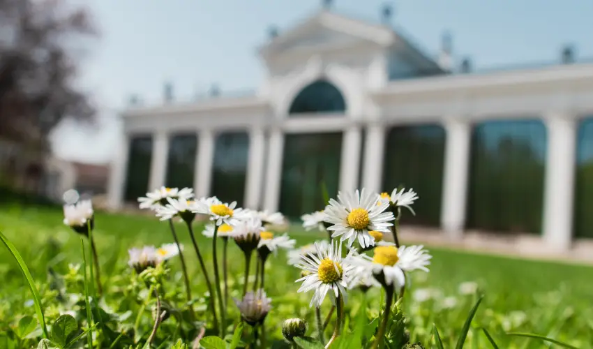 Kristly Imperial Hotel Tata - Oktber 23. 