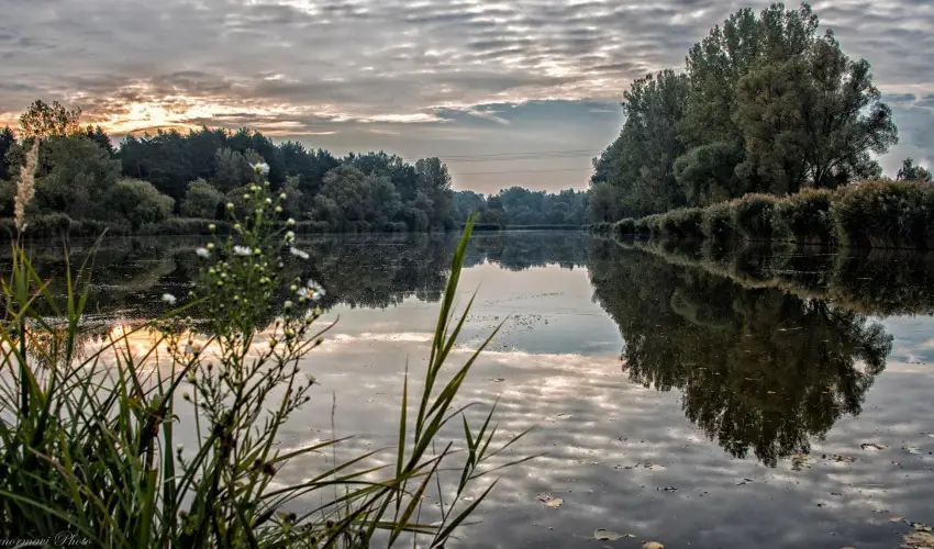 Libra Hotel Veresegyhz - Oktber 23. 
