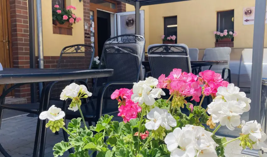 Libra Hotel Veresegyhz - Oktber 23. 