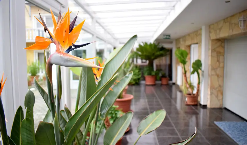 Ldia Hotel Harkny Harkny - Oktber 23. (min. 2 j)