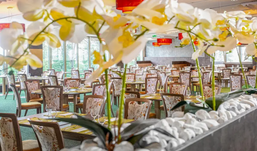 Lifestyle Hotel Mtra Mtrahza - Oktber 23.