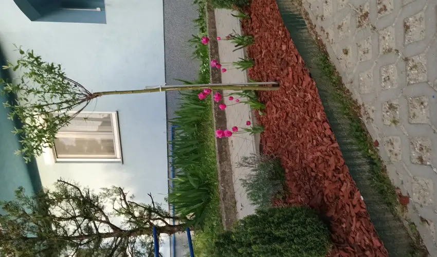 Liliom Apartman Zalakaros - Oktber 23. (min. 3 j)