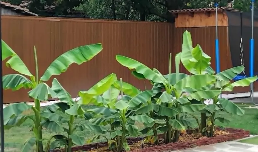 Lilla Apartmanhzak Szilvsvrad - Oktber 23. (min. 2 j)