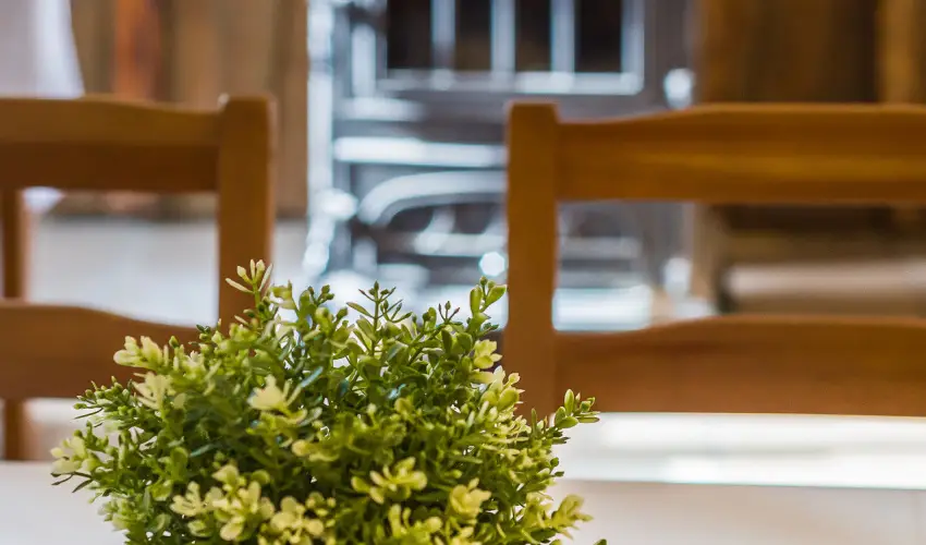 Lipicai Hotel Szilvsvrad - Oktber 23. (min. 2 j)