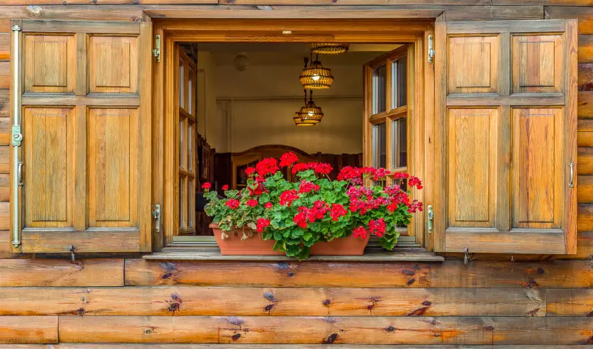 Lipicai Hotel Szilvsvrad - Oktber 23. (min. 2 j)