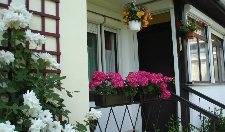 Liza Apartman Gyula - Oktber 23. (min. 2 j)