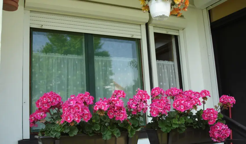 Liza Apartman Gyula - Oktber 23. (min. 2 j)