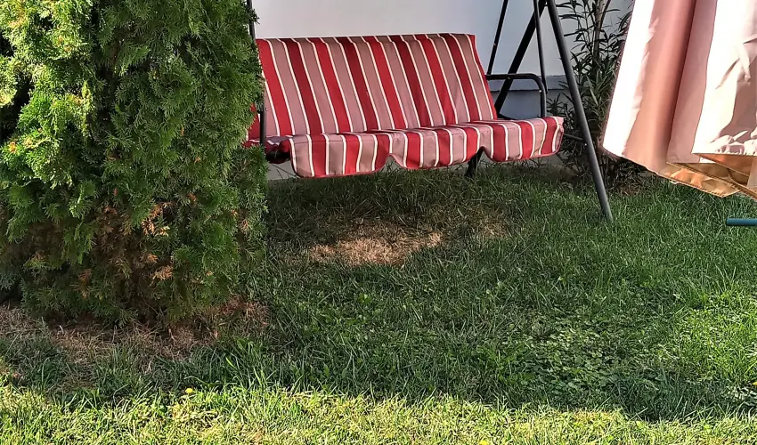 Liza Apartman Gyula - Oktber 23. (min. 2 j)