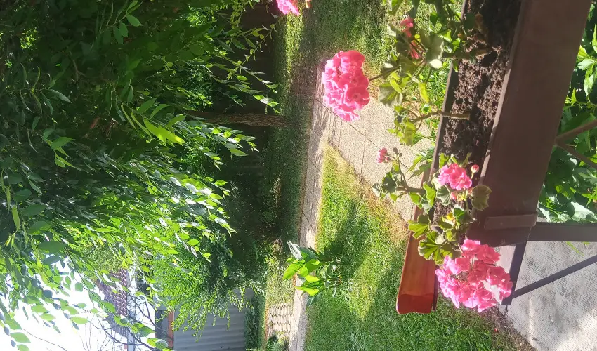 Liza Apartman Gyula - Oktber 23. (min. 2 j)