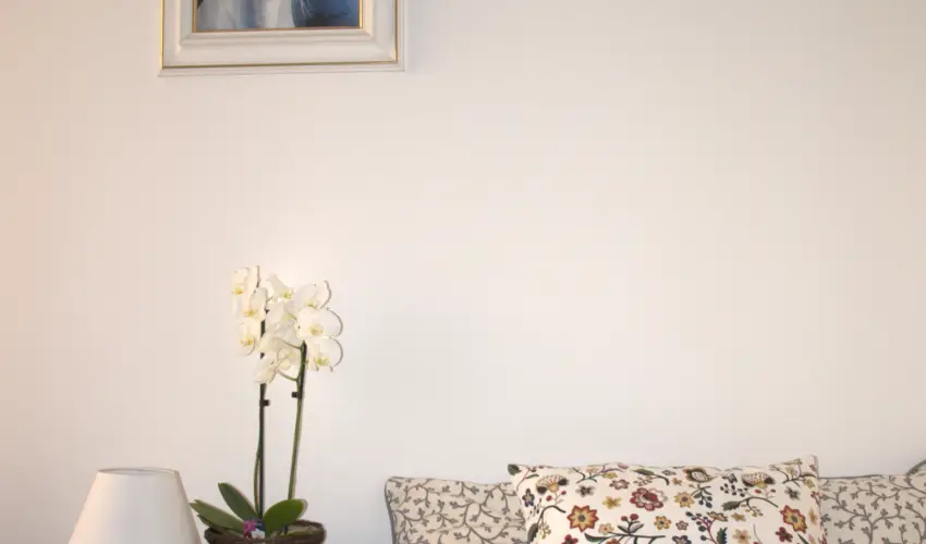 Malom-t Vendghz Tapolca - Oktber 23.