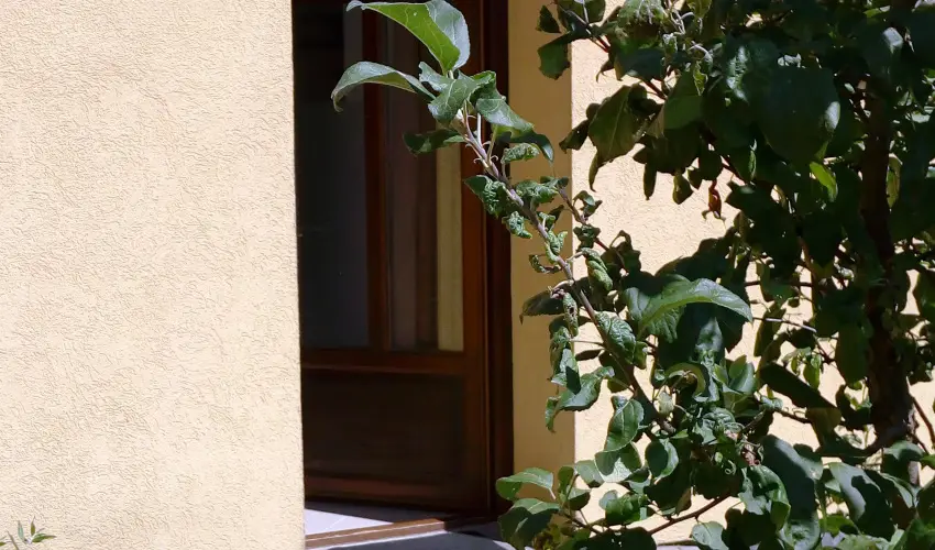 Malom-t Vendghz Tapolca - Oktber 23.