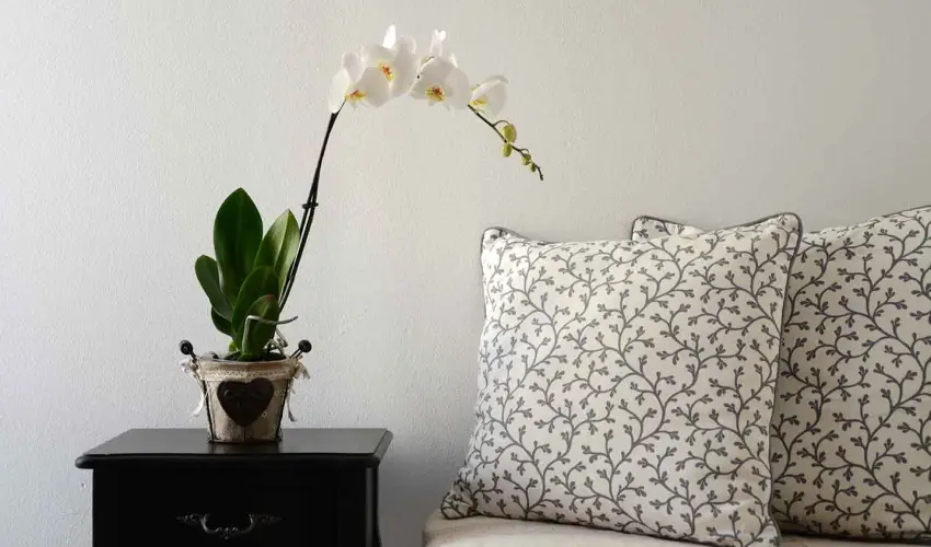 Malom-t Vendghz Tapolca - Oktber 23.