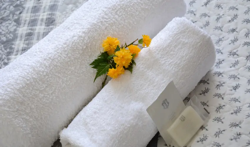 Malom-t Vendghz Tapolca - Oktber 23.