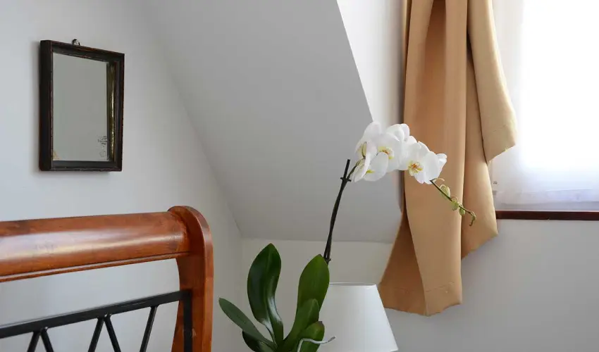 Malom-t Vendghz Tapolca - Oktber 23.