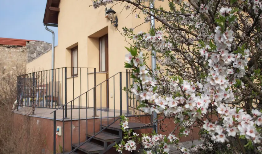 Malom-t Vendghz Tapolca - Oktber 23.