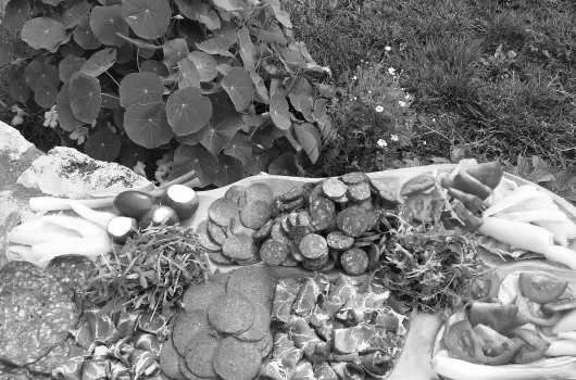 Forr�s H�z Tapolca - Okt�ber 23.