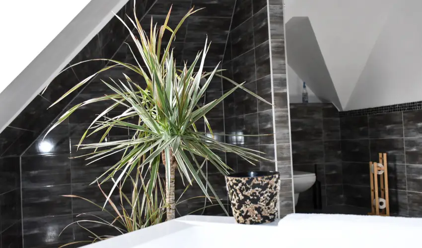 V�gv�ri Hotel Eger Eger - Okt�ber 23.