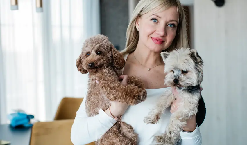 Mercure Tokaj Center Tokaj - Oktber 23. (min. 2 j)