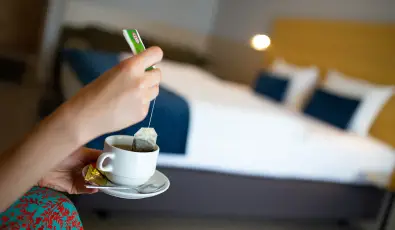 Ndas T Park Hotel Vasad