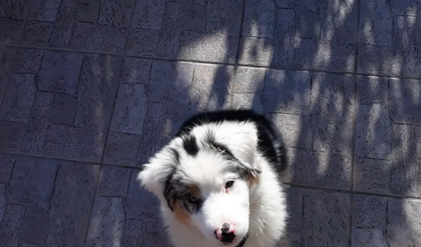 Napsugr Kenzy Lux Apartman Vendghzak Hajdszoboszl - Oktber 23. (min. 2 j)