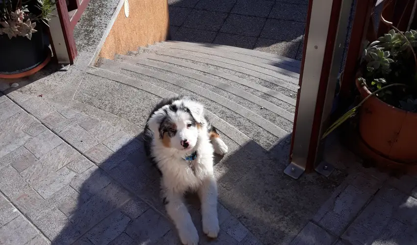 Napsugr Kenzy Lux Apartman Vendghzak Hajdszoboszl - Oktber 23. (min. 2 j)