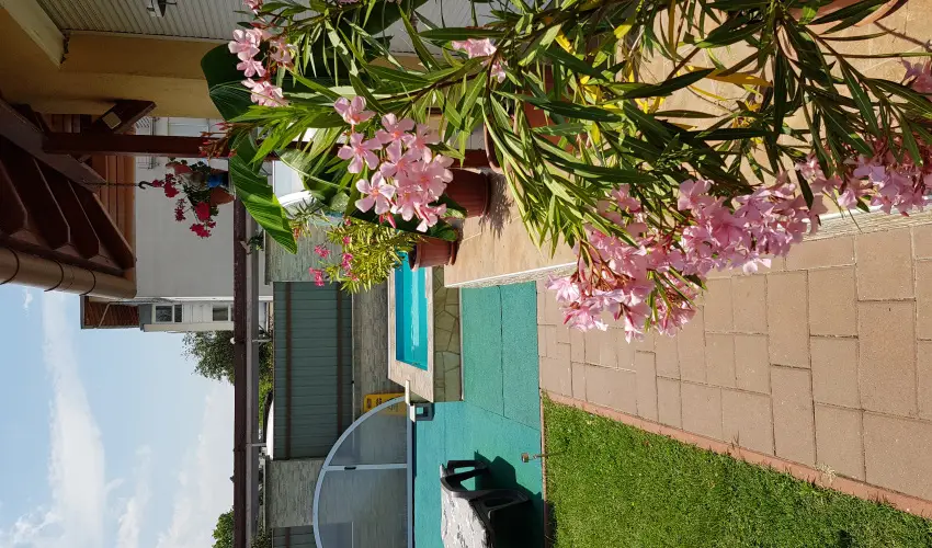 Napsug�r Resort Si�fok - Okt�ber 23.