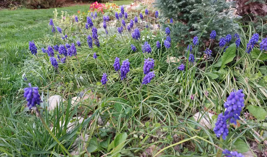 Ngy vszak Apartmanhz Zalakaros Zalakaros - Oktber 23. (min. 3 j)