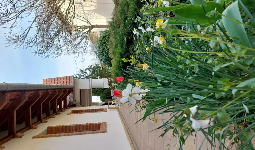 Ngy vszak Apartmanhz Zalakaros Zalakaros - Oktber 23. (min. 3 j)