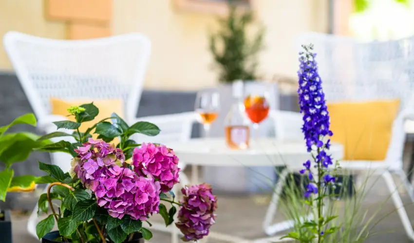 Neptun Badacsony Badacsony - Oktber 23.