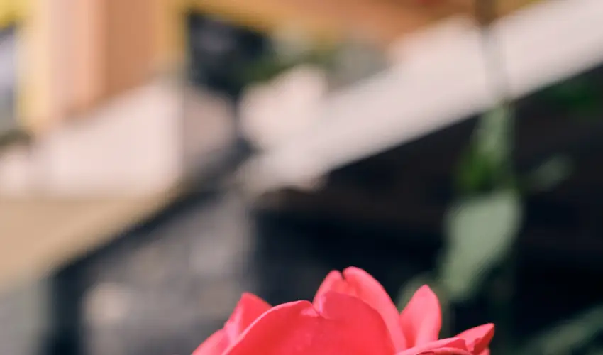 Neptun Badacsony Badacsony - Oktber 23.