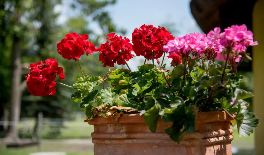 Nyerges Hotel Terml Monor - Oktber 23.