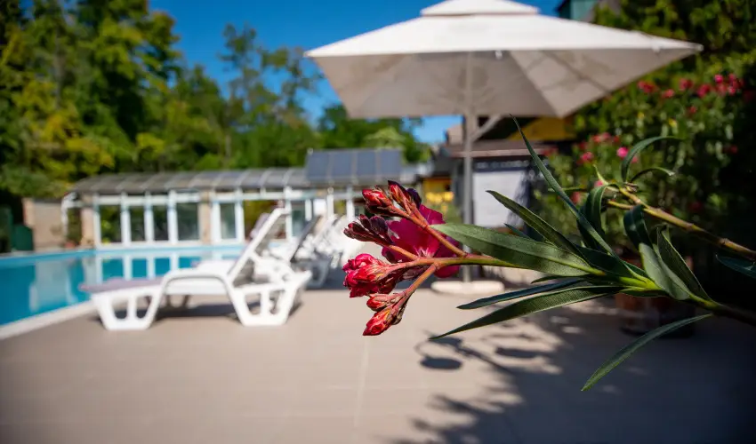 Nyerges Hotel Terml Monor - Oktber 23.