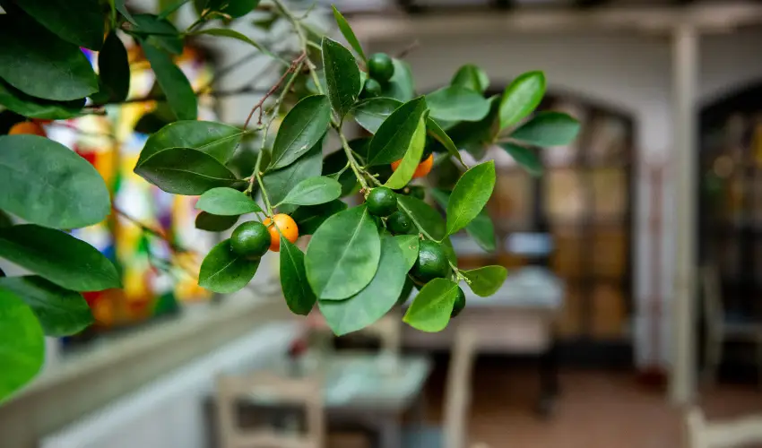 Nyerges Hotel Terml Monor - Oktber 23.