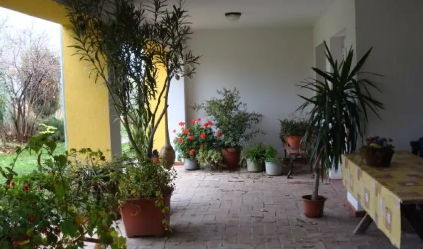 Nyugi Tanya Magyarts - Oktber 23. (min. 2 j)