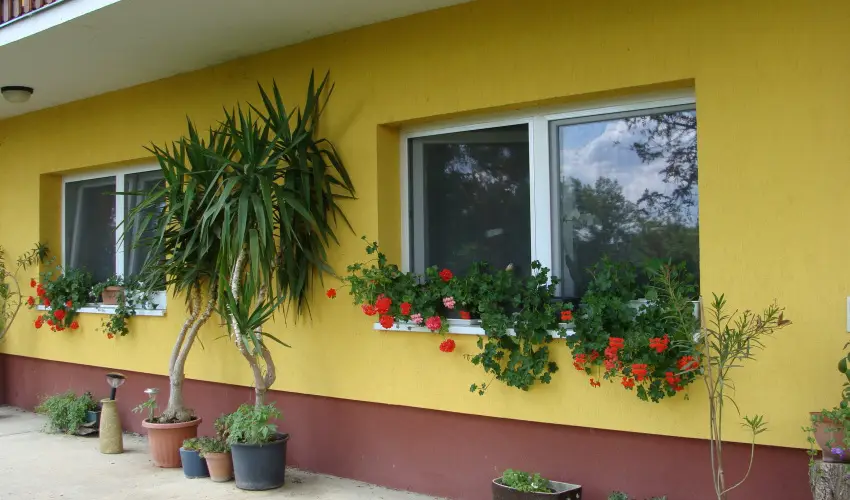 Nyugi Tanya Magyarts - Oktber 23. (min. 2 j)