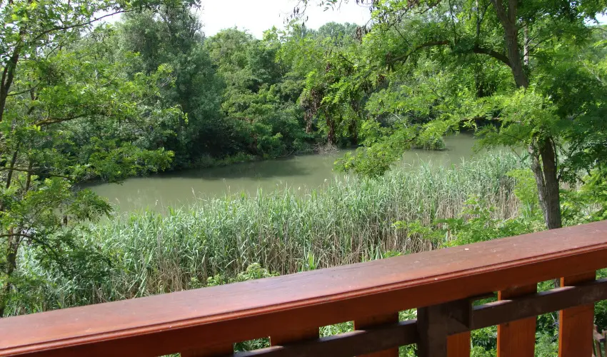 Nyugi Tanya Magyarts - Oktber 23. (min. 2 j)