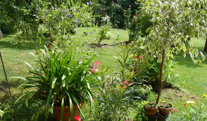 Nyugi Tanya Magyarts - Oktber 23. (min. 2 j)