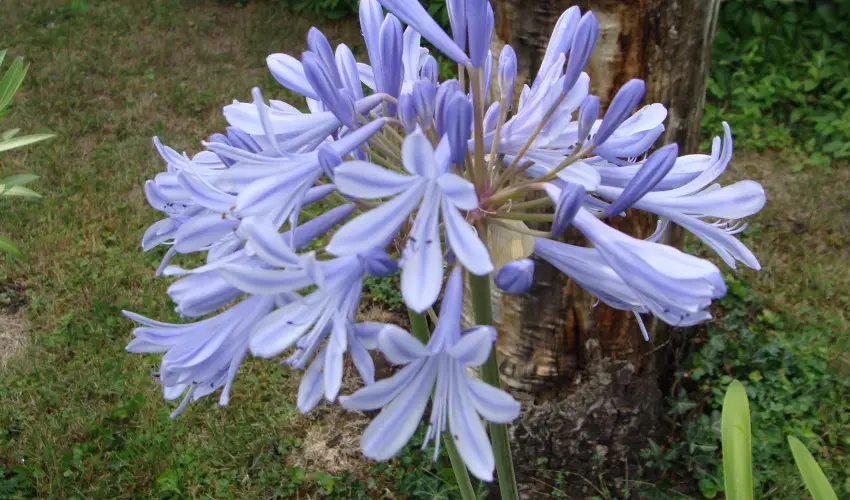 Nyugi Tanya Magyarts - Oktber 23. (min. 2 j)