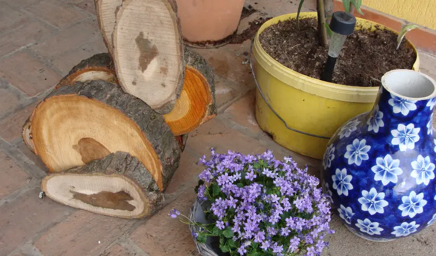 Nyugi Tanya Magyarts - Oktber 23. (min. 2 j)